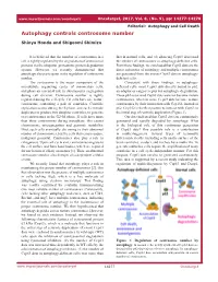 Autophagy Controls Centrosome Number
