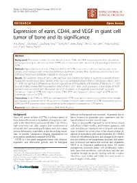 Expression of Ezrin, CD44, and VEGF in Giant Cell Tumor of Bone and Its
