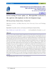 Larval Rearing of Lesser Spiny Eel, Macrognathus Aculeatus in the Captivity with Emphasis on Their Development Stages
