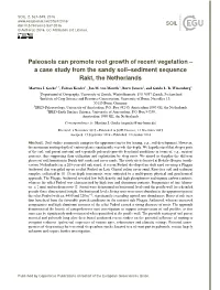 Paleosols Can Promote Root Growth of Recent Vegetation – a Case Study from the Sandy Soil–Sediment Sequence Rakt, the Netherlands