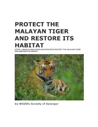 Protect the Malayan Tiger and Restore Its Habitat And-Restore-Its-Habitat