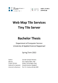 Web Map Tile Services Tiny Tile Server Bachelor Thesis