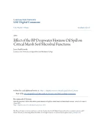 Effect of the BP Deepwater Horizon Oil Spill on Critical Marsh Soil Microbial Functions