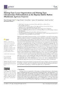 Mating-Type Locus Organization and Mating-Type Chromosome Differentiation in the Bipolar Edible Button Mushroom Agaricus Bisporus