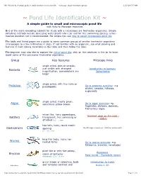 Mic-UK [Site A] a Simple Guide to Small and Microscopic Pond Life
