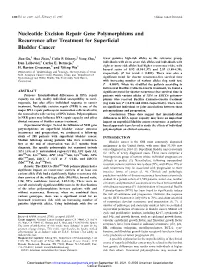 Nucleotide Excision Repair Gene Polymorphisms and Recurrence After Treatment for Superficial Bladder Cancer
