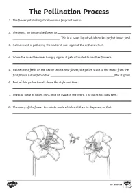 The Pollination Process 1