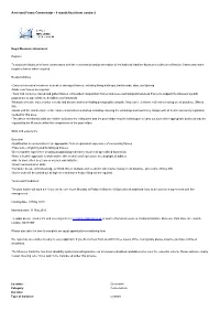 Assistant Frame Conservator - 6 Month Fixed Term Contract