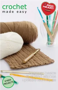 Beginner Basics Illustrated Stitches Updated Techniques