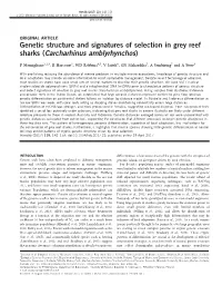 Genetic Structure and Signatures of Selection in Grey Reef Sharks (Carcharhinus Amblyrhynchos)