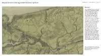 Natural Streams Entering Combined Sewer Systems Geoffrey Lenat Design Research Fall 2014