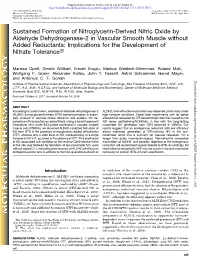 Sustained Formation of Nitroglycerin-Derived Nitric Oxide