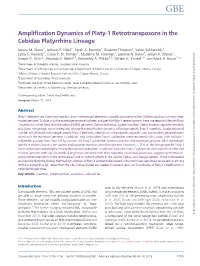 Amplification Dynamics of Platy-1 Retrotransposons in the Cebidae