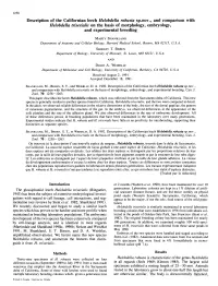 Helobdella Robusta Sp.Nov., and Comparison with Helobdella Triserialis on the Basis of Morphology, Embryology, and Experimental Breeding