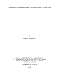 University of Florida Thesis Or Dissertation Formatting Template
