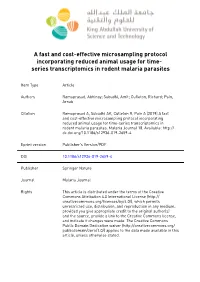 Additional File 4. P. Vinckei Genes Ordered According to the Gene Expression of Their Orthologs in P
