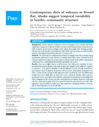 Contemporary Diets of Walruses in Bristol Bay, Alaska Suggest Temporal Variability in Benthic Community Structure