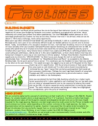 Spring 2013 the Newsletter for the Professional Builder