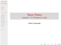 Topos Theory