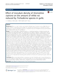 Effect of Inoculum Density of Stromatinia Cepivora on the Amount of White Rot Reduced by Trichoderma Species in Garlic I