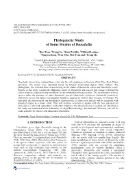 Phylogenetic Study of Some Strains of Dunaliella