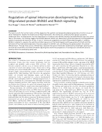 Regulation of Spinal Interneuron Development by the Olig-Related Protein Bhlhb5 and Notch Signaling Kaia Skaggs1,2, Donna M