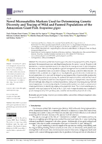 Novel Microsatellite Markers Used for Determining Genetic Diversity and Tracing of Wild and Farmed Populations of the Amazonian Giant Fish Arapaima Gigas
