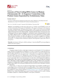 Genesis of Non-Coding RNA Genes in Human Chromosome 22—A Sequence Connection with Protein Genes Separated by Evolutionary Time