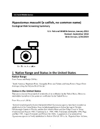 Hypostomus Macushi (A Catfish, No Common Name) Ecological Risk Screening Summary