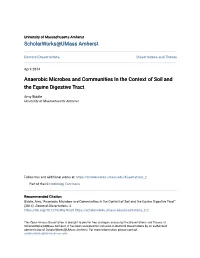Anaerobic Microbes and Communities in the Context of Soil and the Equine Digestive Tract