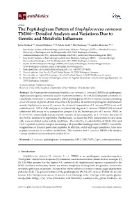 The Peptidoglycan Pattern of Staphylococcus Carnosus TM300—Detailed Analysis and Variations Due to Genetic and Metabolic Inﬂuences