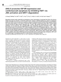 ANG II Promotes IGF-IIR Expression and Cardiomyocyte Apoptosis by Inhibiting HSF1 Via JNK Activation and SIRT1 Degradation