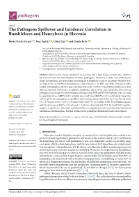 The Pathogens Spillover and Incidence Correlation in Bumblebees and Honeybees in Slovenia