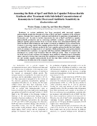Assessing the Role of Spot and Rela in Capsular Polysaccharide