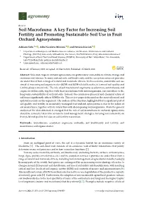 Soil Macrofauna: a Key Factor for Increasing Soil Fertility and Promoting Sustainable Soil Use in Fruit Orchard Agrosystems