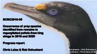 Determining the Diet of New Zealand King Shag Using DNA Metabarcoding