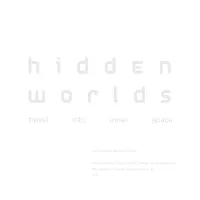 H I D D E N W O R L