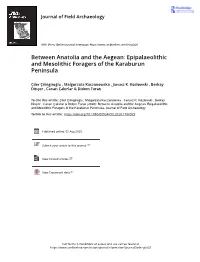 Epipalaeolithic and Mesolithic Foragers of the Karaburun Peninsula