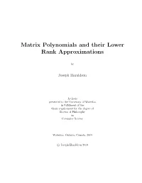 Matrix Polynomials and Their Lower Rank Approximations