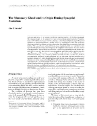 The Mammary Gland and Its Origin During Synapsid Evolution