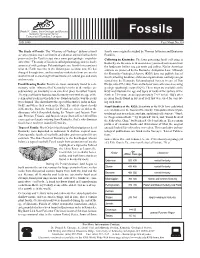 The Study of Fossils: the “Glossary of Geology” Defines a Fossil As “Any