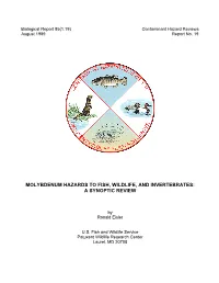 Molybdenum Hazards to Fish, Wildlife, and Invertebrates: a Synoptic Review