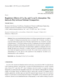 Regulatory Effects of Cu, Zn, and Ca on Fe Absorption: the Intricate Play Between Nutrient Transporters