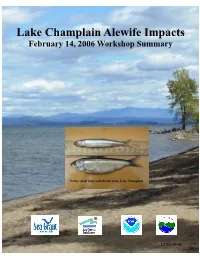 Lake Champlain Alewife Impacts February 14, 2006 Workshop Summary