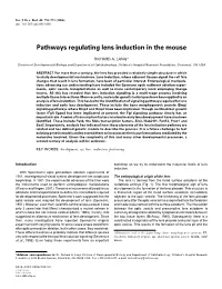Pathways Regulating Lens Induction in the Mouse