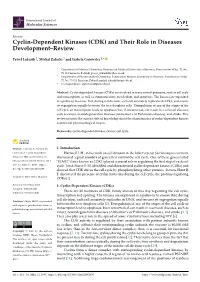 Cyclin-Dependent Kinases (CDK) and Their Role in Diseases Development–Review