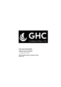 Lake Hayes Remediation Options Overview Report M