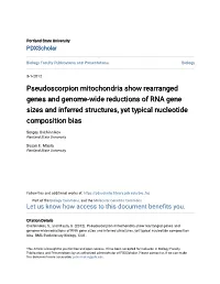 Pseudoscorpion Mitochondria Show Rearranged Genes and Genome-Wide Reductions of RNA Gene Sizes and Inferred Structures, Yet Typical Nucleotide Composition Bias