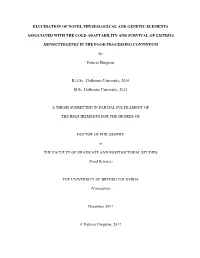 Sample Thesis Title with a Concise and Accurate Description