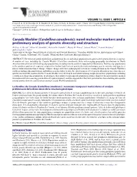 Canada Warbler (Cardellina Canadensis): Novel Molecular Markers and a Preliminary Analysis of Genetic Diversity and Structure
